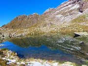 Lago di Pietra Quadra (2116 m)-prima neve in bella compagnia dalle Baite di Mezzeno-29sett25 - FOTOGALLERY